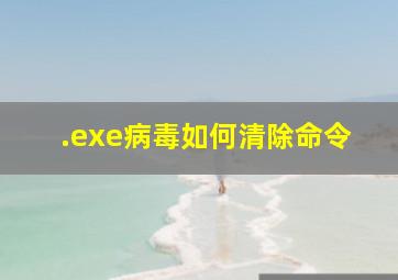 .exe病毒如何清除命令