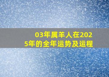 03年属羊人在2025年的全年运势及运程