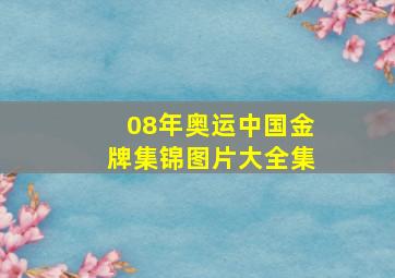 08年奥运中国金牌集锦图片大全集