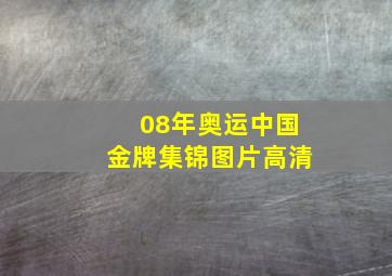 08年奥运中国金牌集锦图片高清