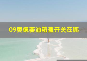 09奥德赛油箱盖开关在哪