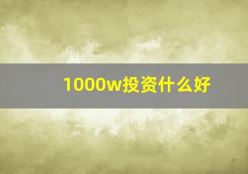 1000w投资什么好