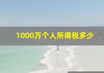 1000万个人所得税多少