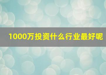 1000万投资什么行业最好呢