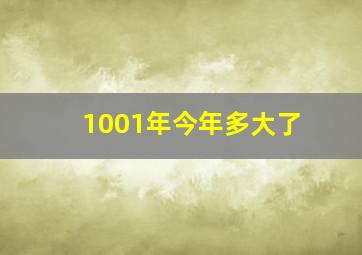 1001年今年多大了