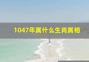 1047年属什么生肖属相