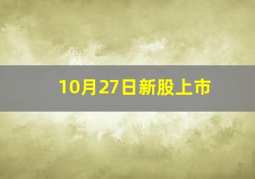 10月27日新股上市