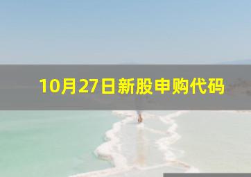 10月27日新股申购代码