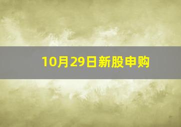 10月29日新股申购