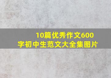 10篇优秀作文600字初中生范文大全集图片