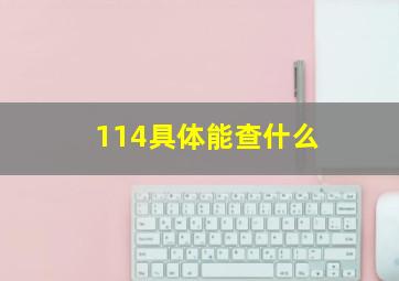 114具体能查什么