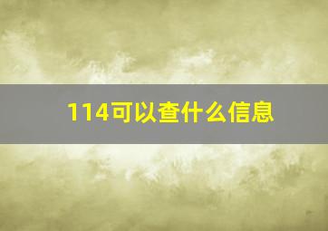 114可以查什么信息