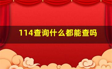 114查询什么都能查吗