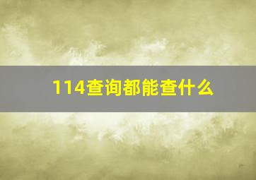 114查询都能查什么