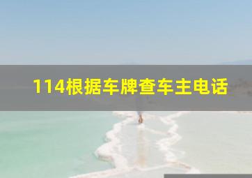 114根据车牌查车主电话