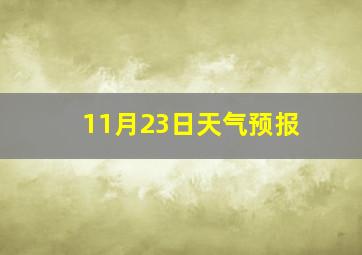 11月23日天气预报