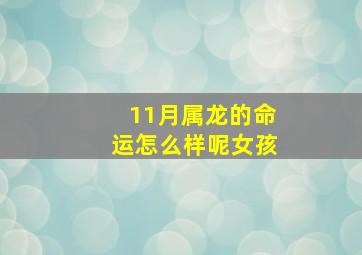 11月属龙的命运怎么样呢女孩