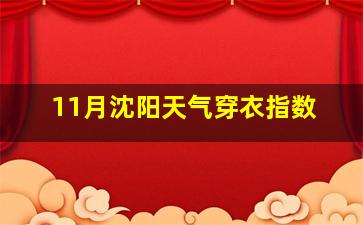 11月沈阳天气穿衣指数