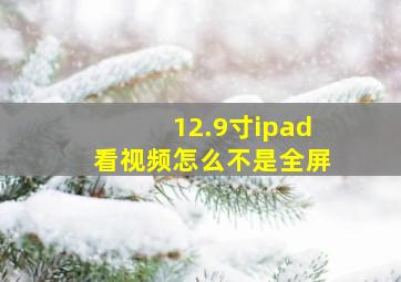 12.9寸ipad看视频怎么不是全屏