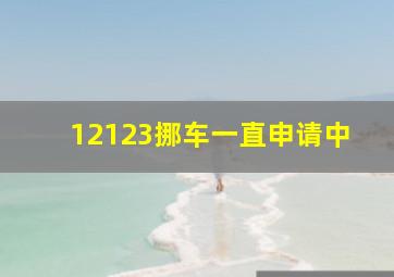 12123挪车一直申请中