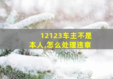 12123车主不是本人,怎么处理违章