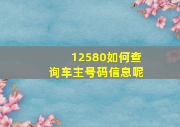 12580如何查询车主号码信息呢