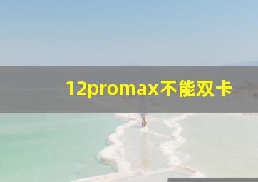 12promax不能双卡