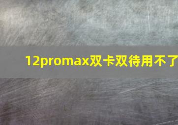 12promax双卡双待用不了