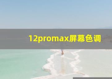 12promax屏幕色调