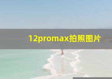 12promax拍照图片