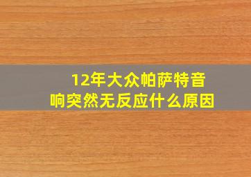 12年大众帕萨特音响突然无反应什么原因