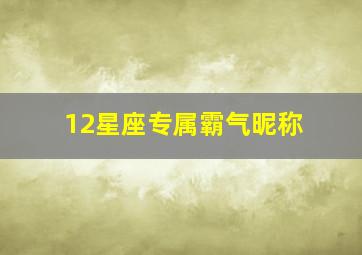 12星座专属霸气昵称