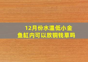 12月份水温低小金鱼缸内可以放铜钱草吗