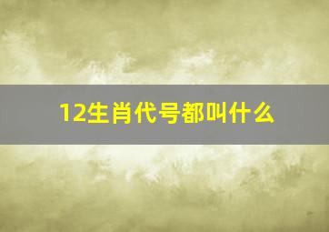 12生肖代号都叫什么