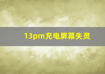 13pm充电屏幕失灵