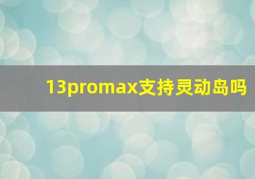 13promax支持灵动岛吗