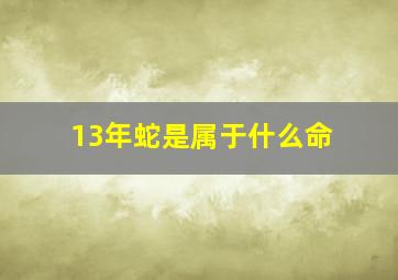 13年蛇是属于什么命