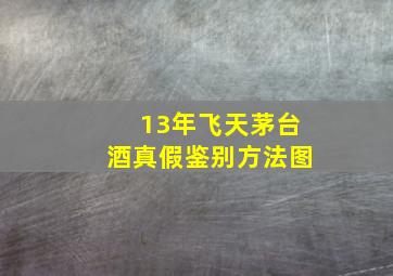 13年飞天茅台酒真假鉴别方法图