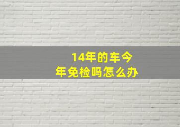 14年的车今年免检吗怎么办