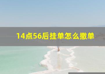 14点56后挂单怎么撤单