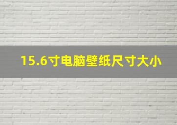 15.6寸电脑壁纸尺寸大小