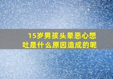 15岁男孩头晕恶心想吐是什么原因造成的呢