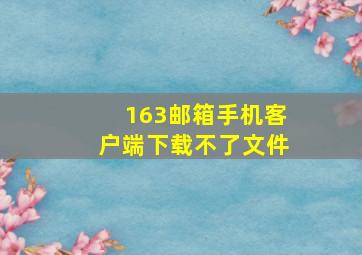 163邮箱手机客户端下载不了文件