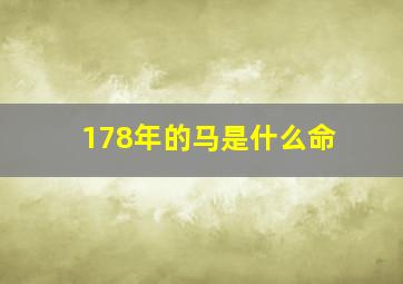 178年的马是什么命