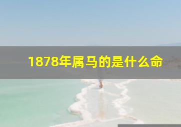 1878年属马的是什么命