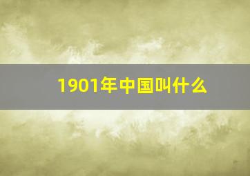 1901年中国叫什么