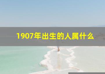 1907年出生的人属什么