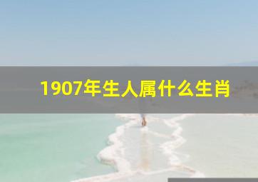 1907年生人属什么生肖