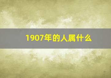 1907年的人属什么