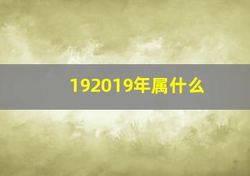 192019年属什么